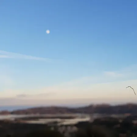 Sprafundu 马达莱纳