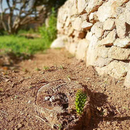 Sprafundu Nocleg ze śniadaniem La Maddalena (Sassari)