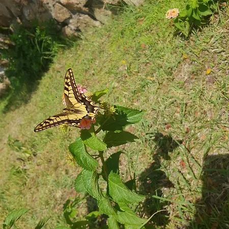 Sprafundu Nocleg ze śniadaniem La Maddalena (Sassari)