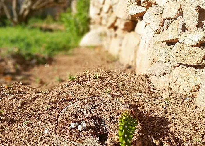 Sprafundu Bed and breakfast La Maddalena (Sassari)