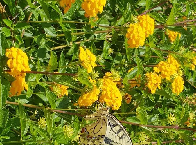 Sprafundu Bed and breakfast La Maddalena (Sassari)