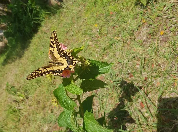 Sprafundu Bed and breakfast La Maddalena (Sassari)