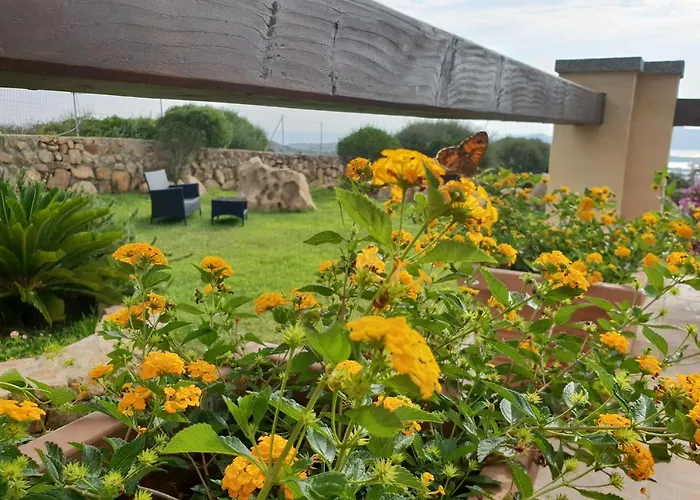 Bed and breakfast Sprafundu